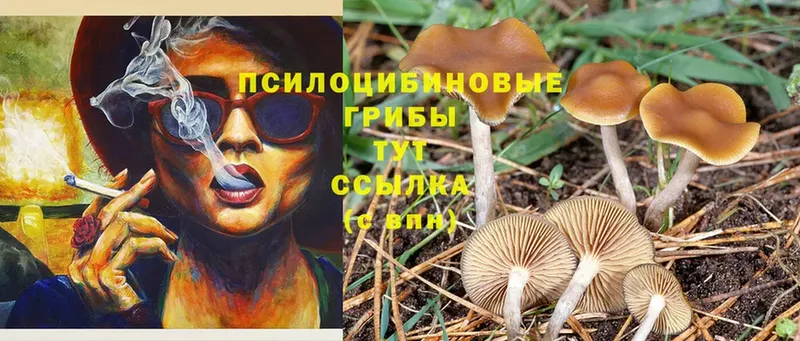 Галлюциногенные грибы Magic Shrooms  Лабинск 